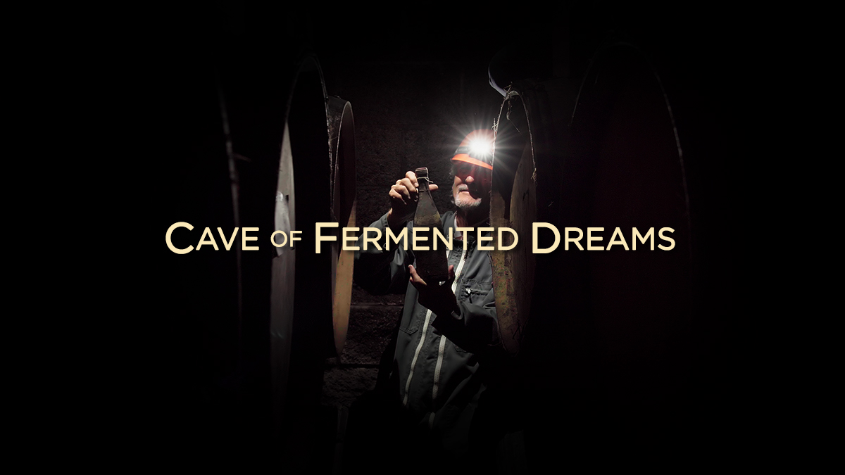 Cameron Winery: The Cave of Fermented Dreams (by Matt Giraud)
