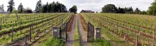 Cameron Winery entrance (photo by Matt Giraud)