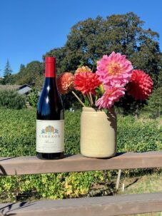 2018 Reserve Dundee Hills Pinot noir | Cameron Winery, Dundee Oregon