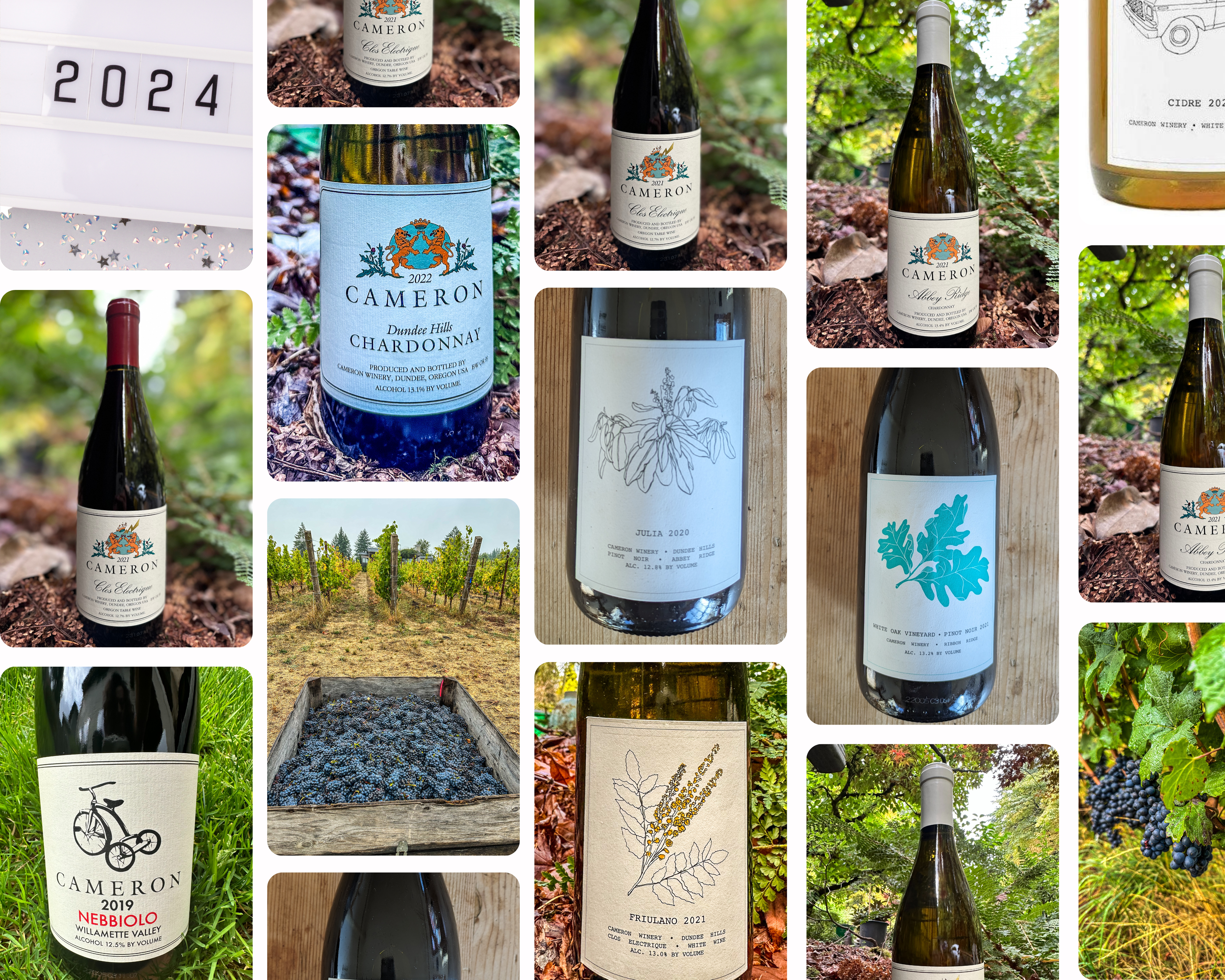 Bottles of Cameron Winery wine that are currently for sale. 2022 Dundee Hills Chardonnay, 2021 White Oak Pinot noir, 2021 Abbey Ridge Rouge Pinot noir, 2021 Clos Electrique Rouge, 2021 Clos Electrique Blanc, 2022 White Oak Cidre, 2021 Friulano, 2020 Julia Pinot noir, 2019 Willamette Valley Nebbiolo, 2021 Abbey Ridge Chardonnay